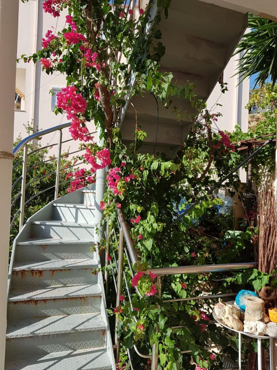 ★ Meniko'S House ★ Cozy Nest Apartment Himare Ngoại thất bức ảnh